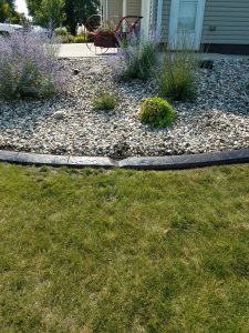 edgeline borders lawn border