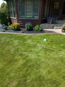 edgeline borders lawn border